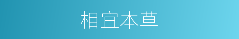 相宜本草的同义词