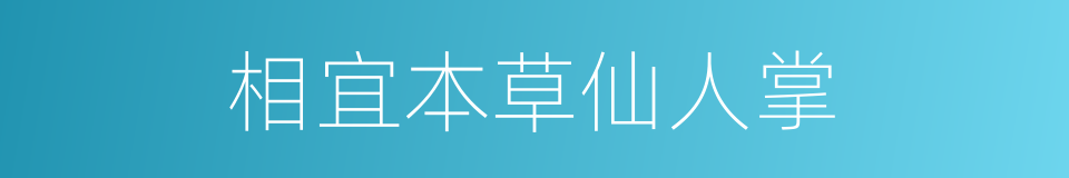 相宜本草仙人掌的同义词