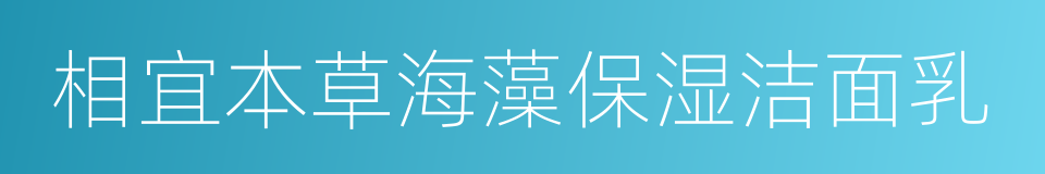 相宜本草海藻保湿洁面乳的同义词