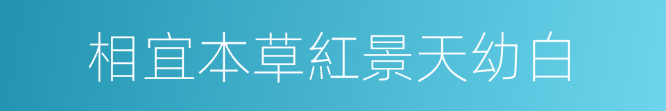 相宜本草紅景天幼白的同義詞