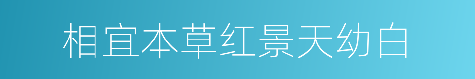 相宜本草红景天幼白的同义词