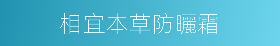 相宜本草防曬霜的同義詞