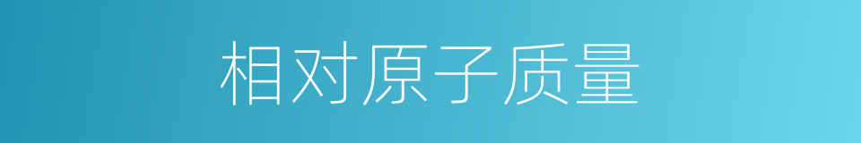 相对原子质量的意思