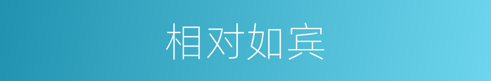 相对如宾的同义词