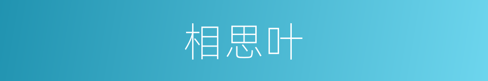 相思叶的同义词