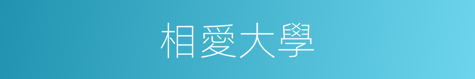 相愛大學的同義詞
