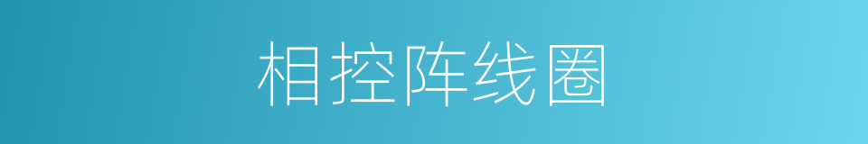相控阵线圈的同义词