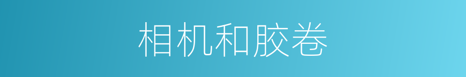 相机和胶卷的同义词