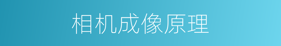 相机成像原理的同义词