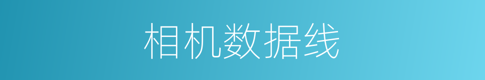 相机数据线的同义词