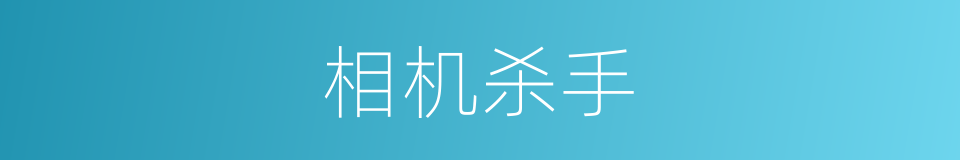 相机杀手的同义词
