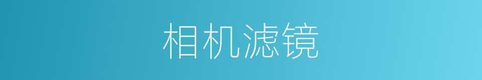 相机滤镜的同义词