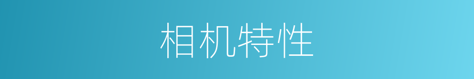 相机特性的同义词