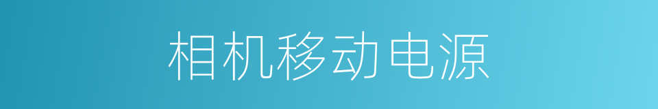 相机移动电源的同义词