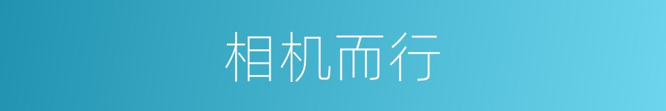 相机而行的意思