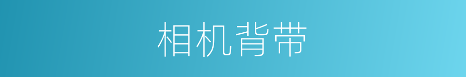 相机背带的同义词