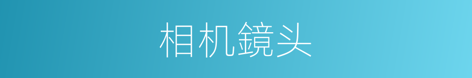 相机鏡头的同義詞
