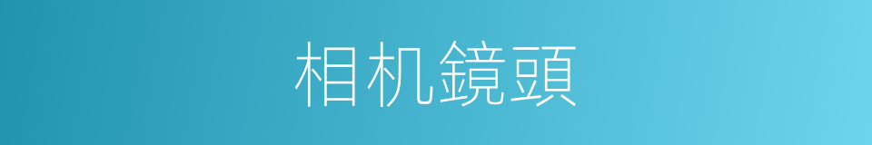 相机鏡頭的同義詞