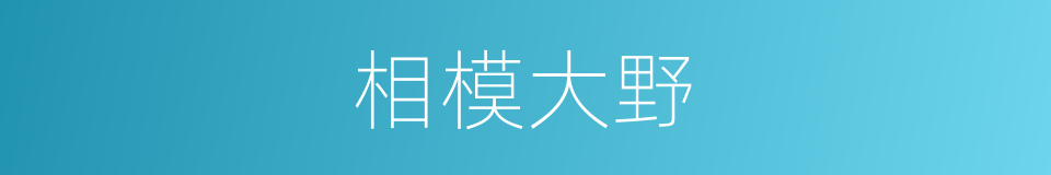 相模大野的同义词