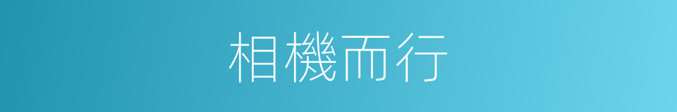 相機而行的意思