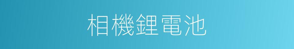 相機鋰電池的同義詞