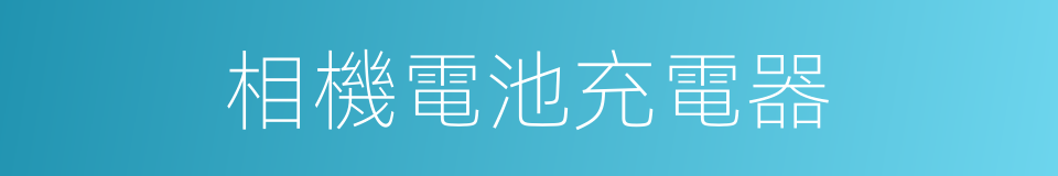 相機電池充電器的同義詞