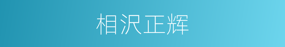 相沢正辉的同义词