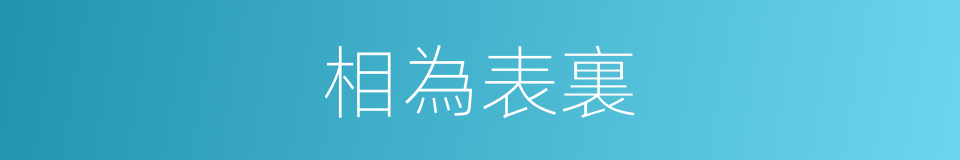 相為表裏的意思