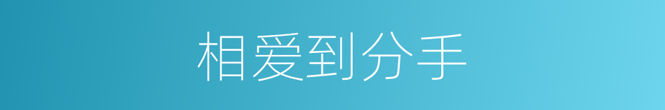 相爱到分手的同义词
