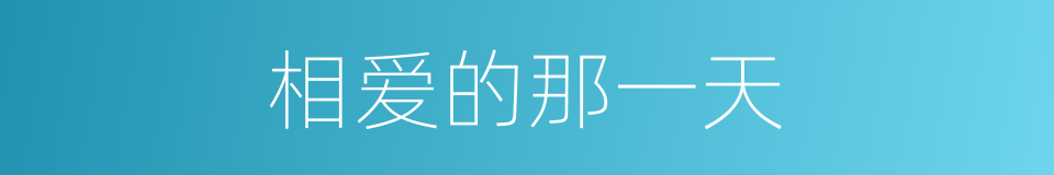 相爱的那一天的同义词