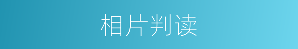 相片判读的同义词