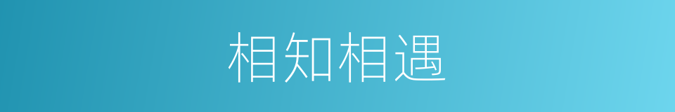 相知相遇的同义词