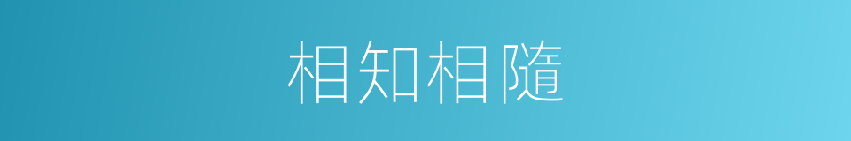 相知相隨的同義詞