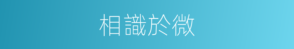 相識於微的同義詞