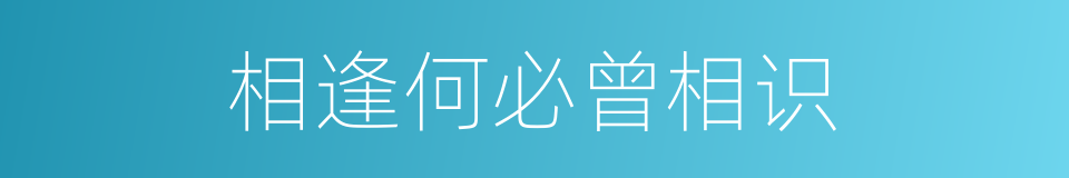 相逢何必曾相识的意思