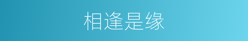 相逢是缘的同义词