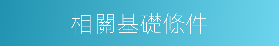 相關基礎條件的同義詞