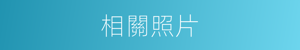 相關照片的同義詞