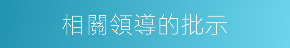 相關領導的批示的同義詞