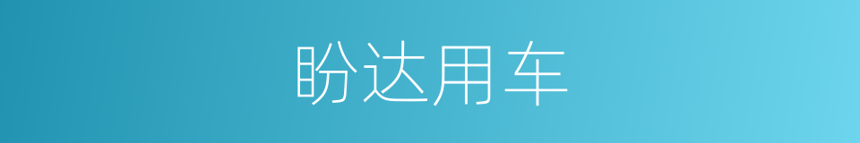 盼达用车的同义词