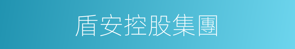 盾安控股集團的同義詞