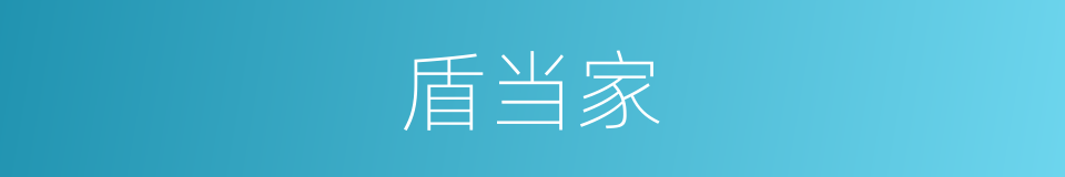 盾当家的同义词
