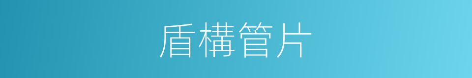 盾構管片的同義詞
