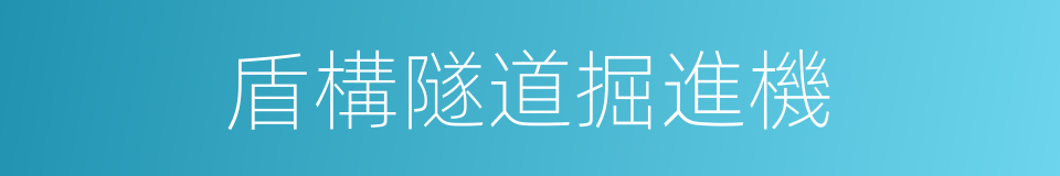 盾構隧道掘進機的同義詞