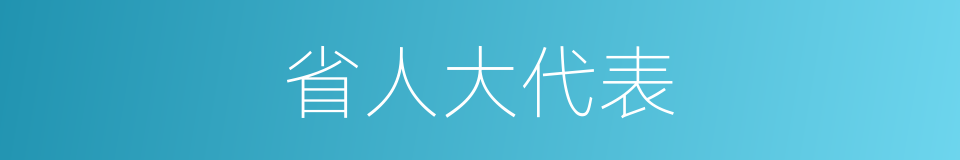 省人大代表的同义词