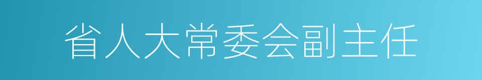 省人大常委会副主任的同义词