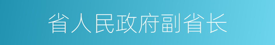 省人民政府副省长的同义词