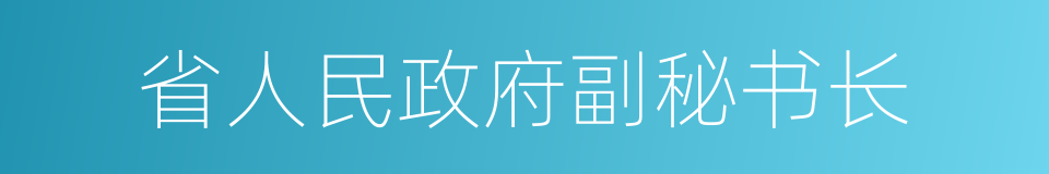 省人民政府副秘书长的同义词