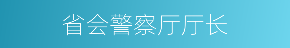 省会警察厅厅长的同义词