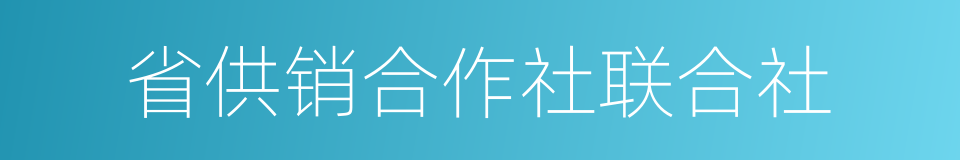 省供销合作社联合社的同义词